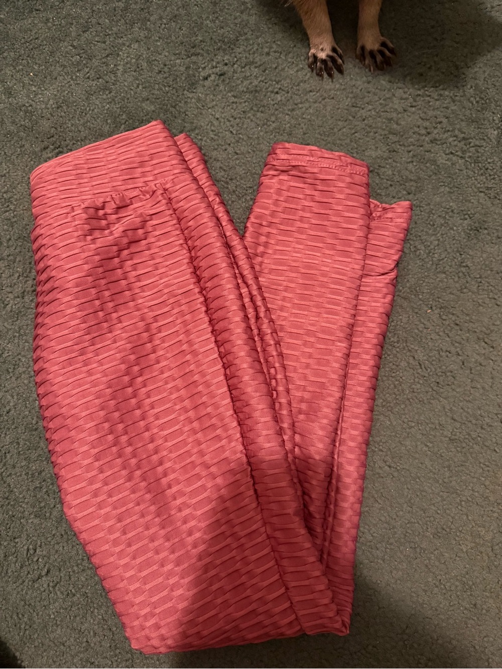 Pink Leggings